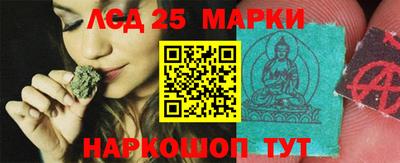 индика Гусев