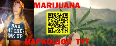 индика Гусев