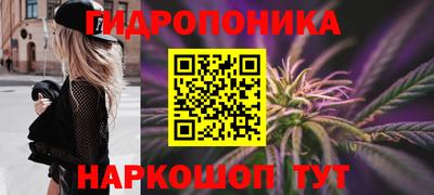 мяу мяу мука Гусь-Хрустальный