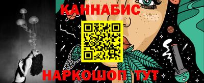 индика Гусев