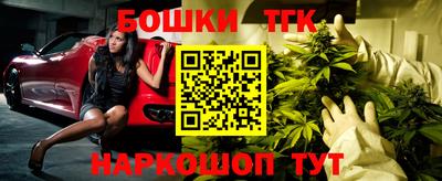 индика Гусев