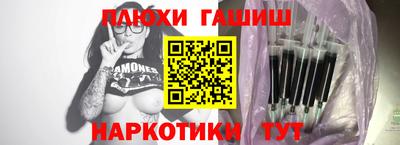 индика Гусев