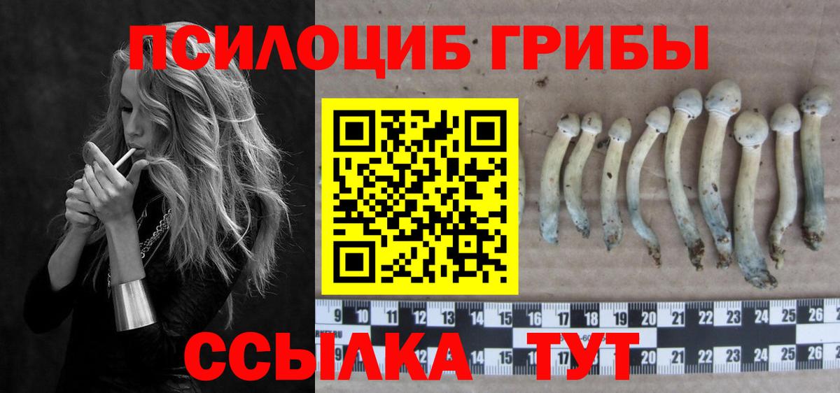 Псилоцибиновые грибы MAGIC MUSHROOMS  Вход с VPN  Псилоцибиновые грибы мицелий  Новокуйбышевск 